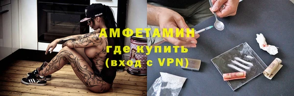 индика Бронницы