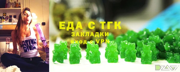 шишки Бородино