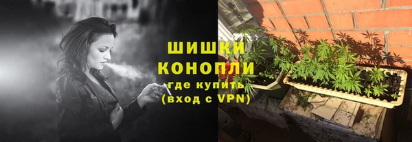 шишки Бородино