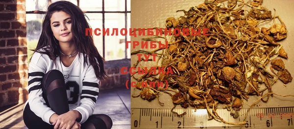 винт Бугульма