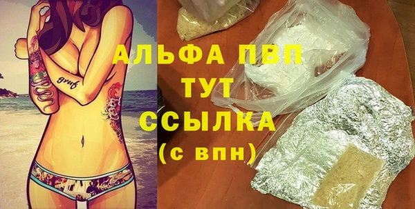 индика Бронницы