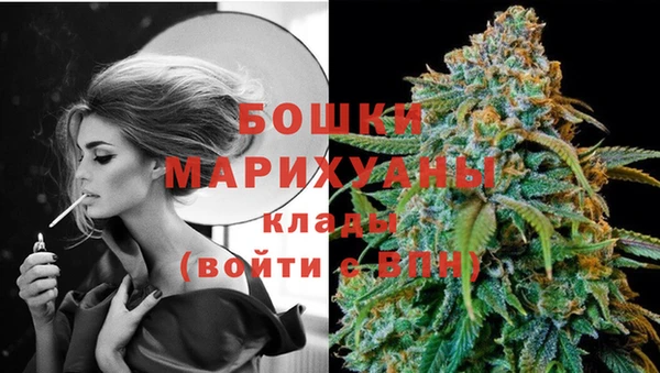 шишки Бородино