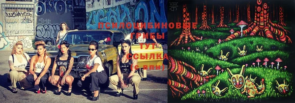 винт Бугульма