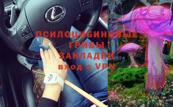 шишки Бородино