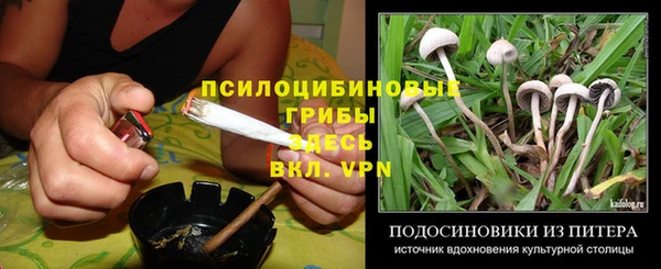 индика Бронницы