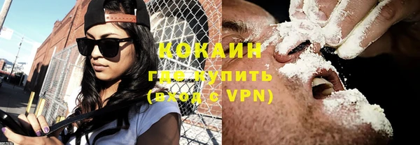 шишки Бородино