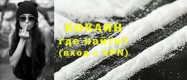 индика Бронницы